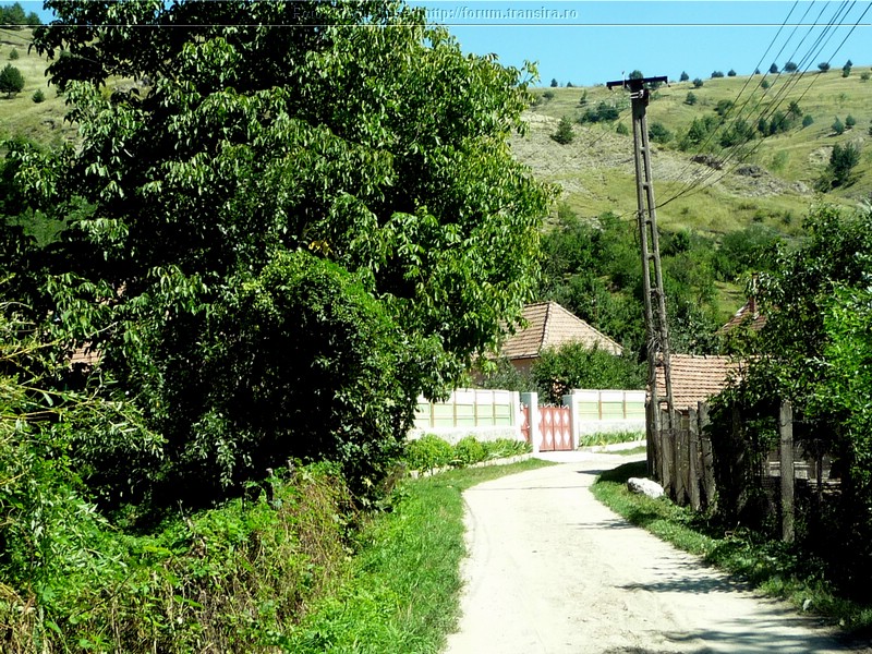 Valea Manastirii (7).jpg
