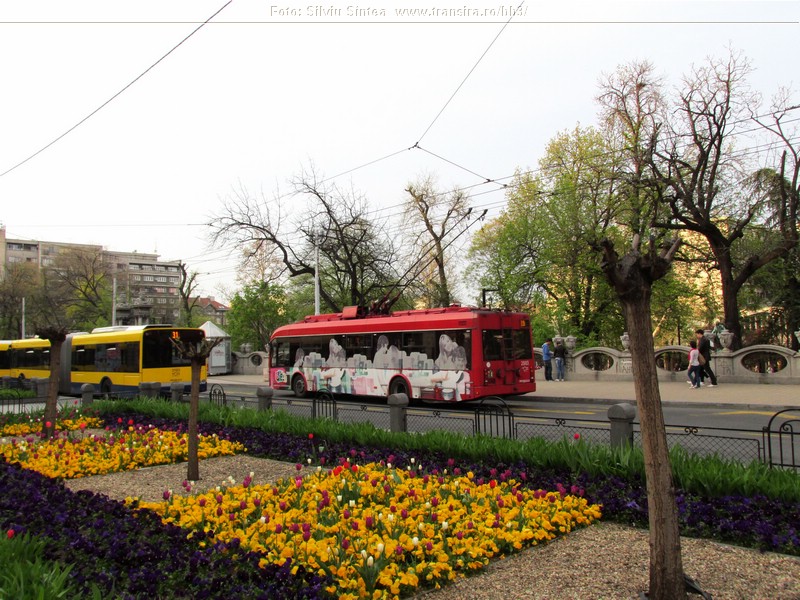 Belgrade trolleybus (123).jpg