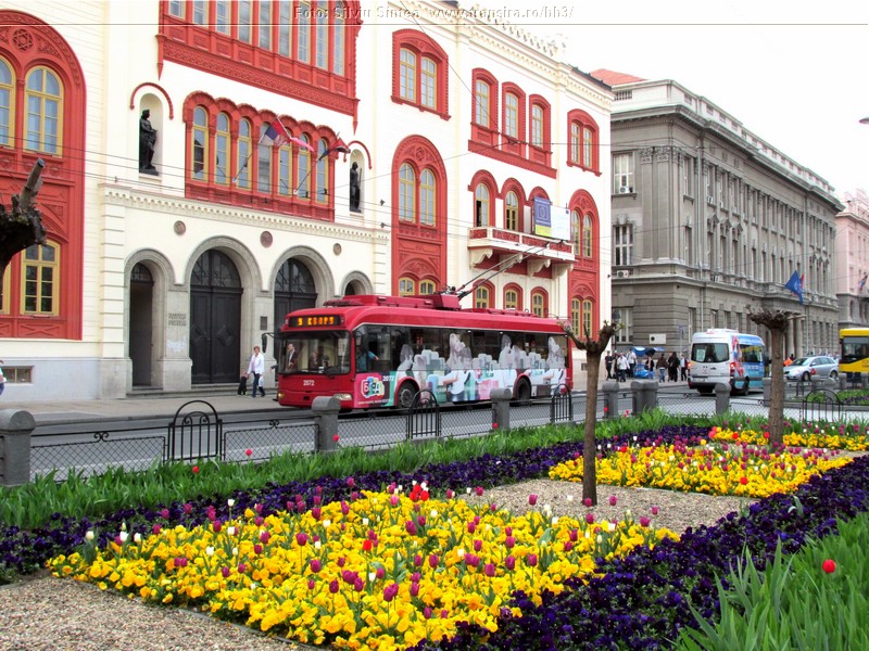 Belgrade trolleybus (114).jpg