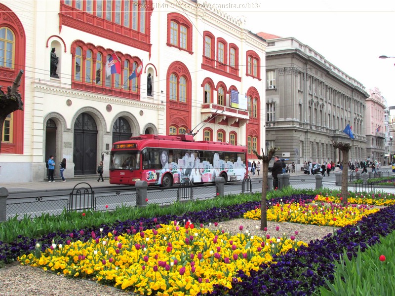 Belgrade trolleybus (118).jpg