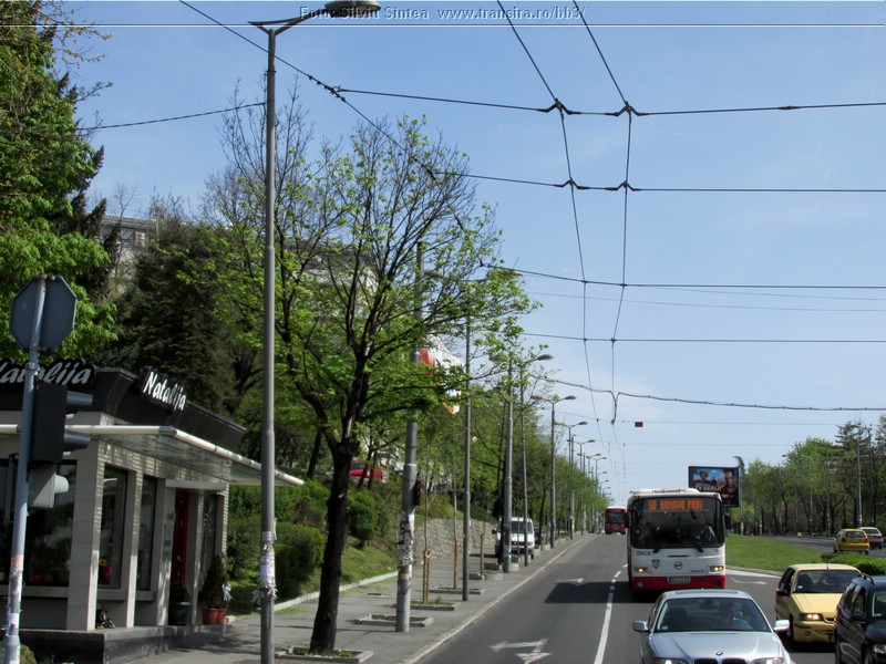 Belgrade trolleybus (154).jpg