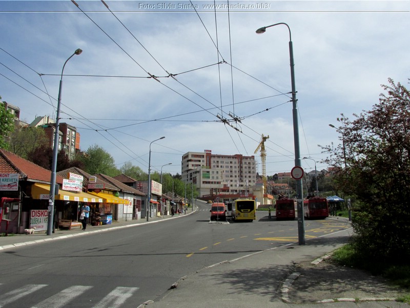 Belgrade trolleybus (177).jpg