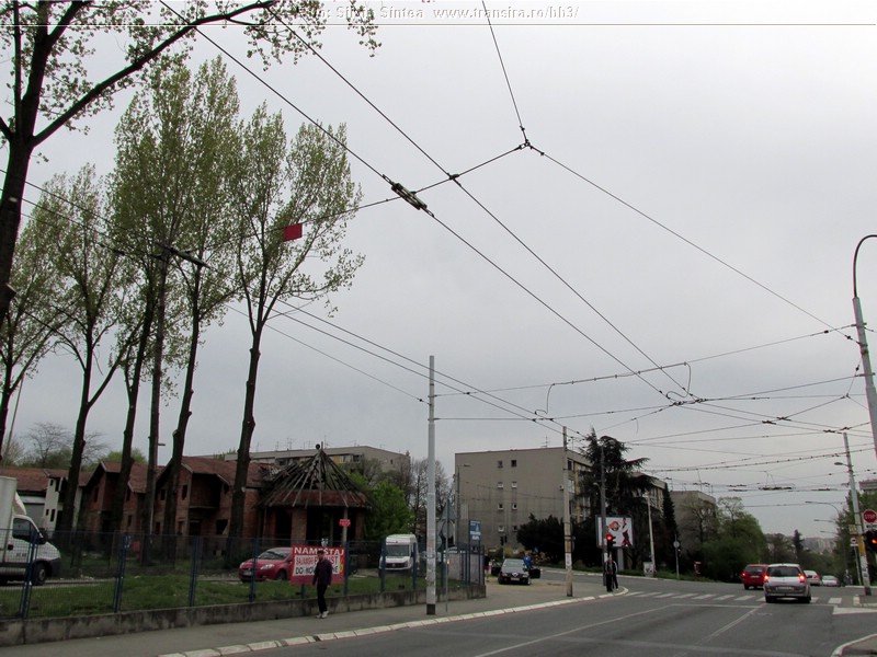 Belgrade trolleybus (239).jpg