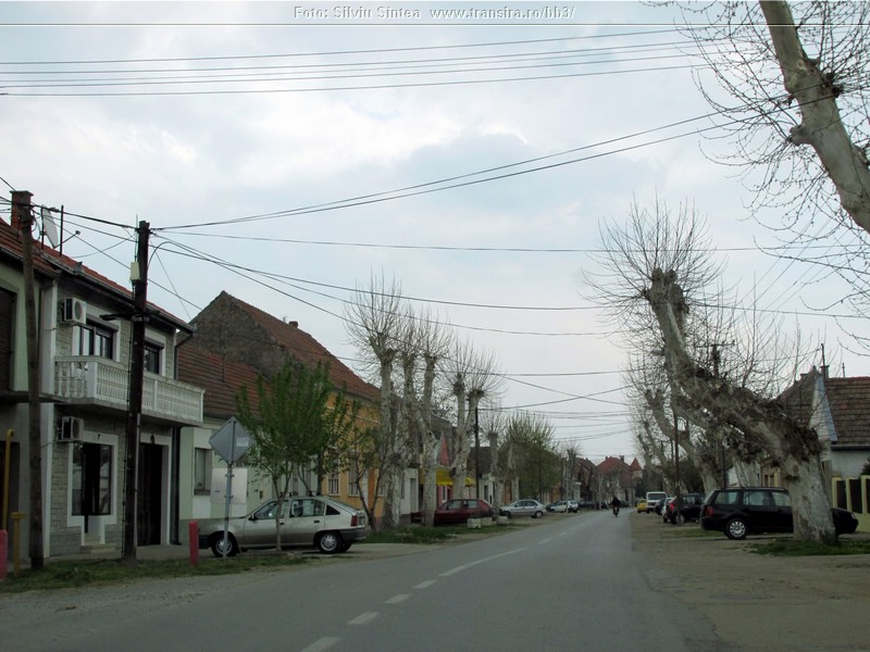 Pancevo-Bela Crkva (53).jpg