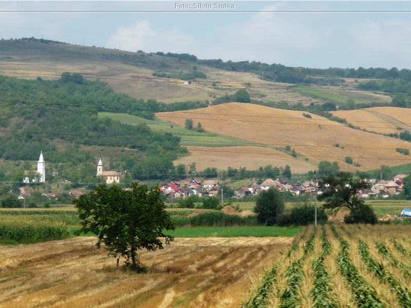 Tarnaveni-Praid, august 2014 (62).jpg