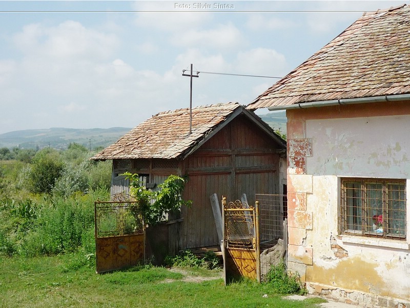 Tarnaveni-Praid, august 2014 (69).jpg