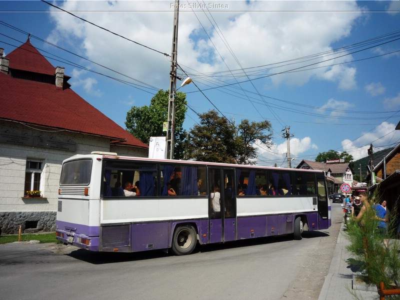 Tarnaveni-Praid, august 2014 (263).jpg