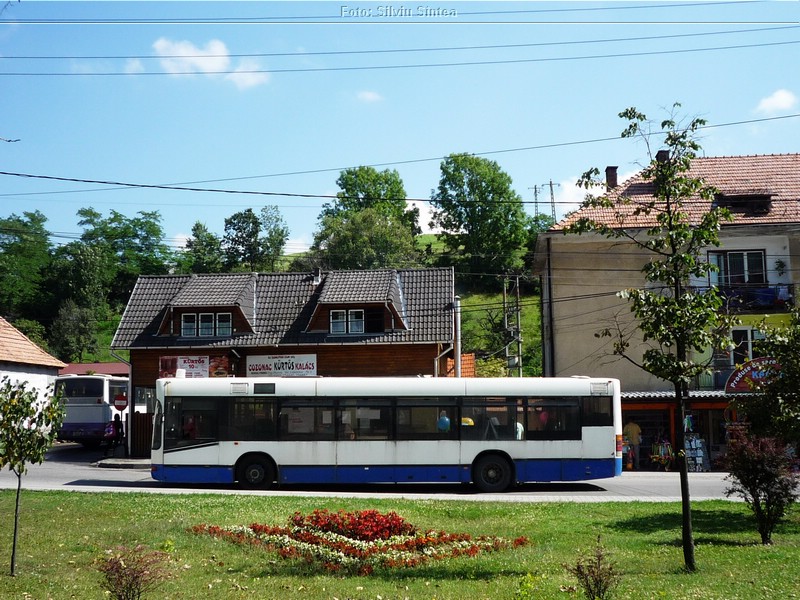 Tarnaveni-Praid, august 2014 (271).jpg