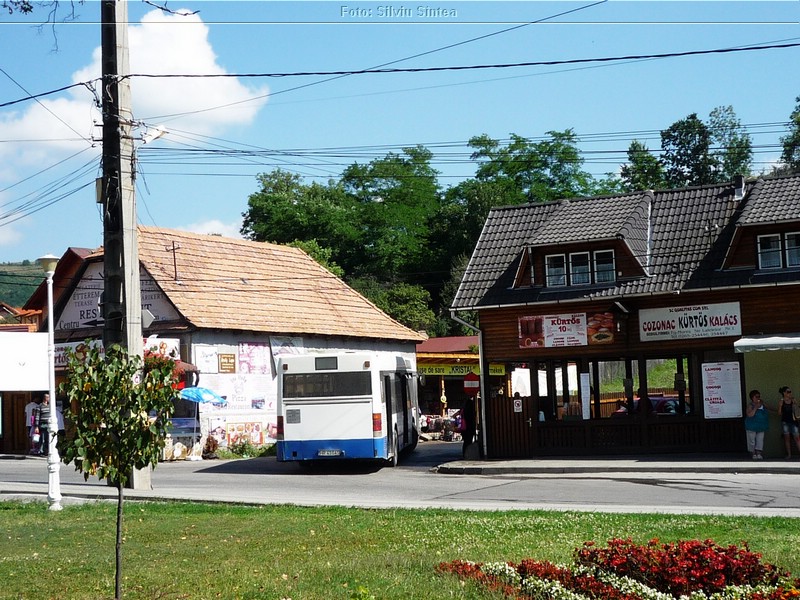 Tarnaveni-Praid, august 2014 (272).jpg