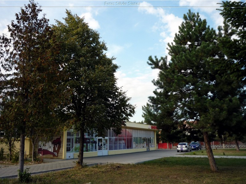 Sibiu 13.09.2014 (84).jpg