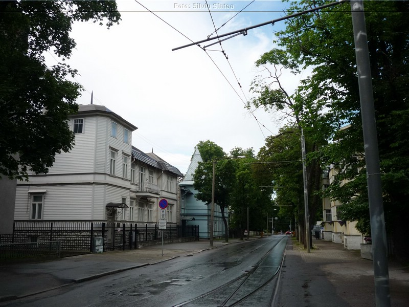 Tallinn -iulie 2015 (107).jpg