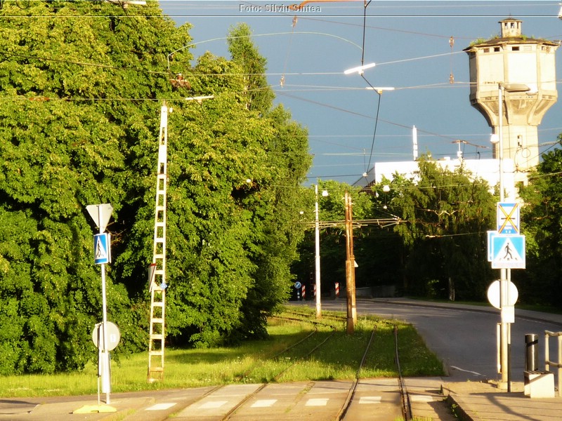 Tallinn trolleybus 2015 (384).jpg