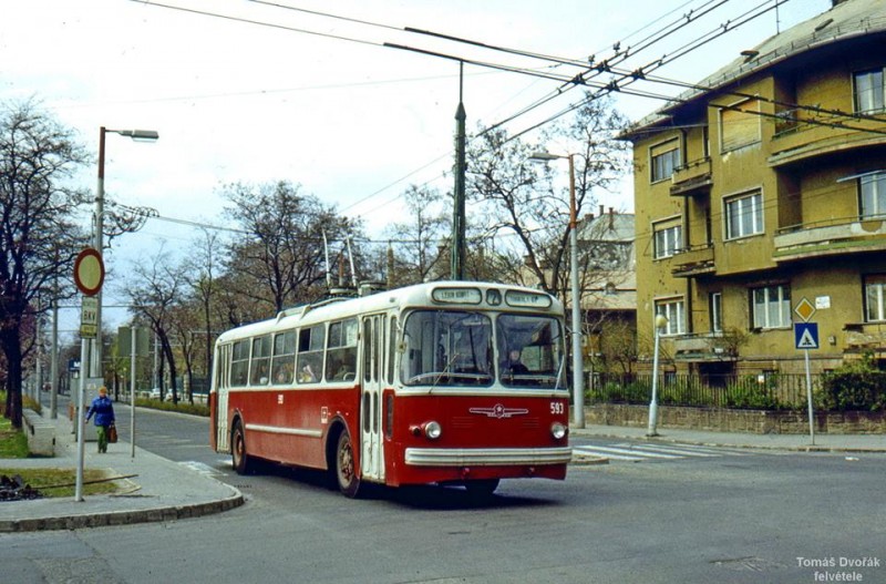 593-1979.jpg