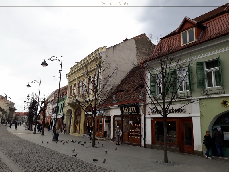Sibiu 02.02.2019 (69).jpg