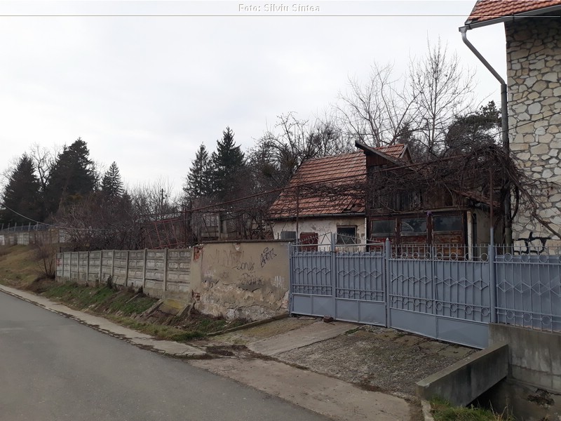 Sibiu 13.01.2022 (9).jpg