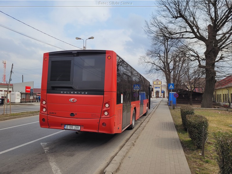 Alba Iulia 26.02.2022 (19).jpg