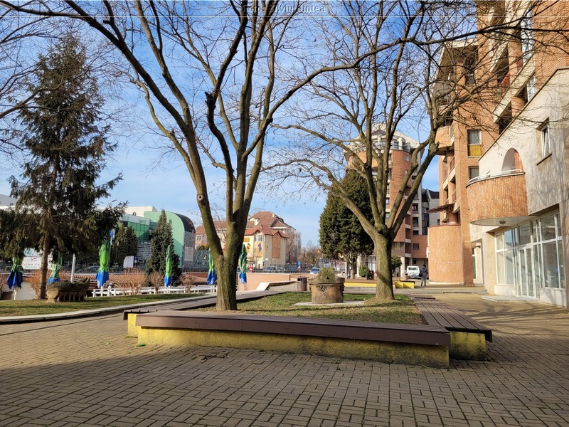 Alba Iulia 20.03.2022 (3).jpg