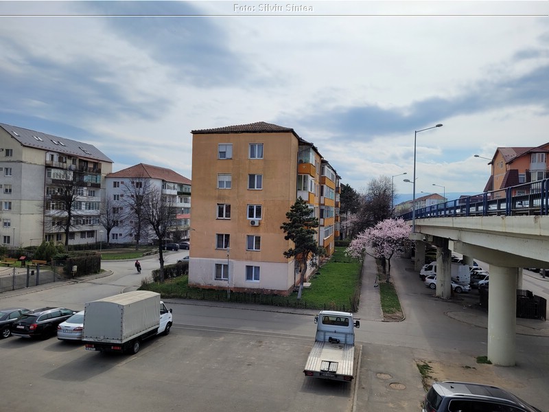 Sibiu 08.04.2022 (16).jpg