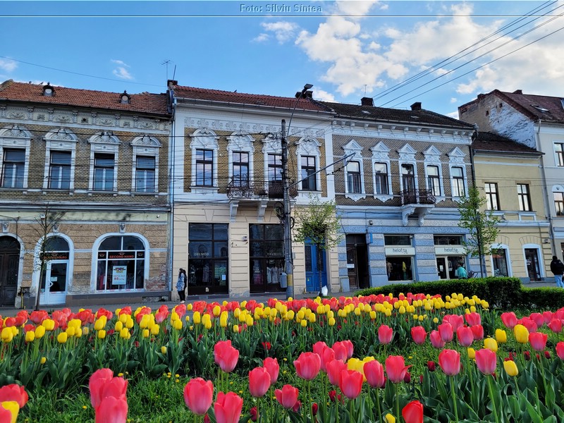 Cluj Napoca 22.04.2023 (81).jpg
