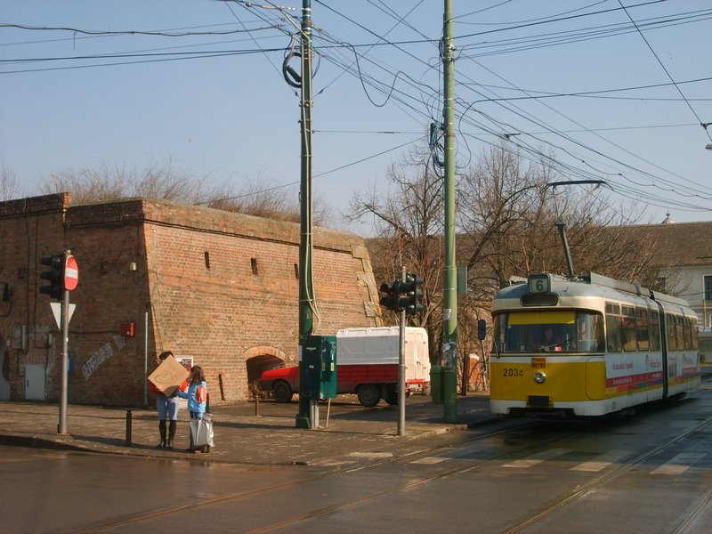 Piata Timisoara 700 -2034 a.JPG