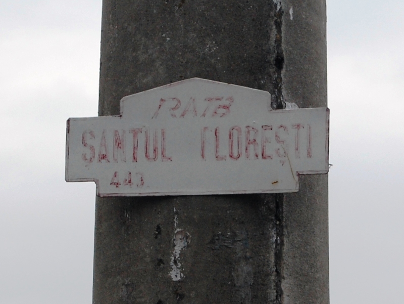 Santul Floresti.JPG