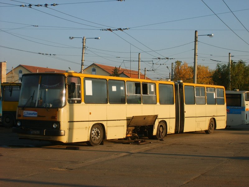 07 bus.JPG