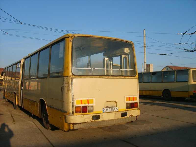 33 bus y.JPG