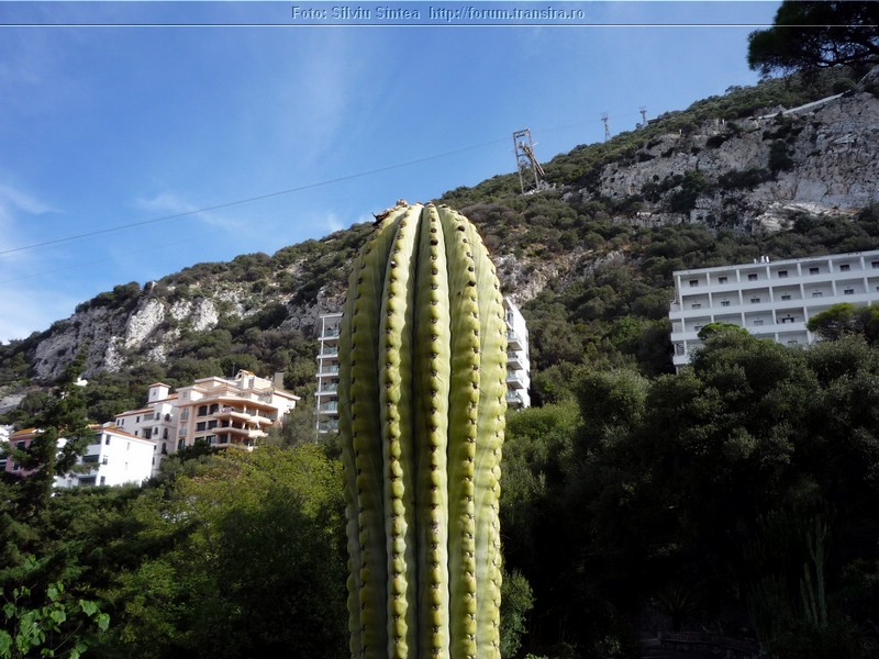 Gibraltar (21).jpg