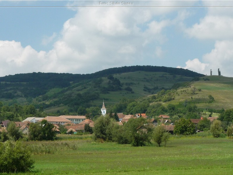 Tarnaveni-Praid, august 2014 (159).jpg