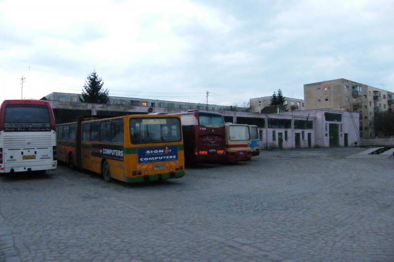 autobuze1.jpg