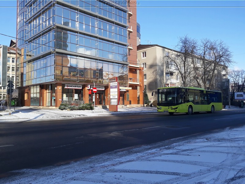 Sibiu 13.02.2021 (24).jpg