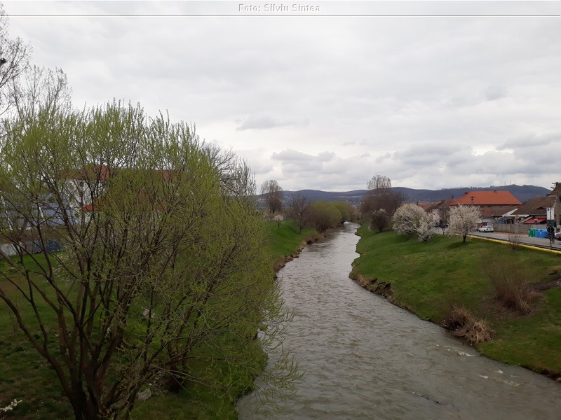 Sibiu 15.04.2021 (47).jpg