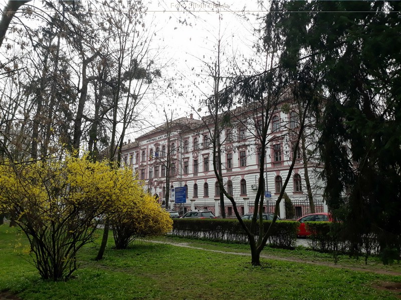 Cluj Napoca 21.04.2021 (20).jpg