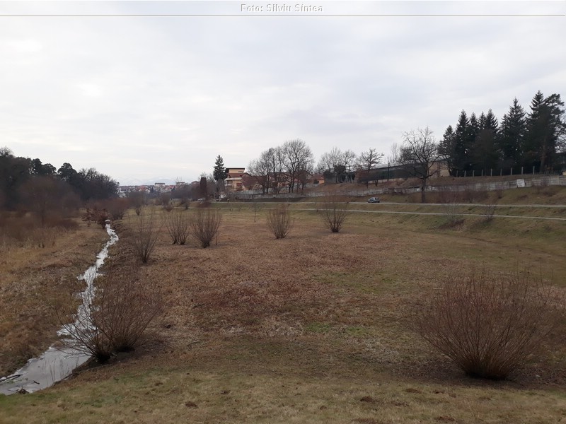 Sibiu 13.01.2022 (17).jpg