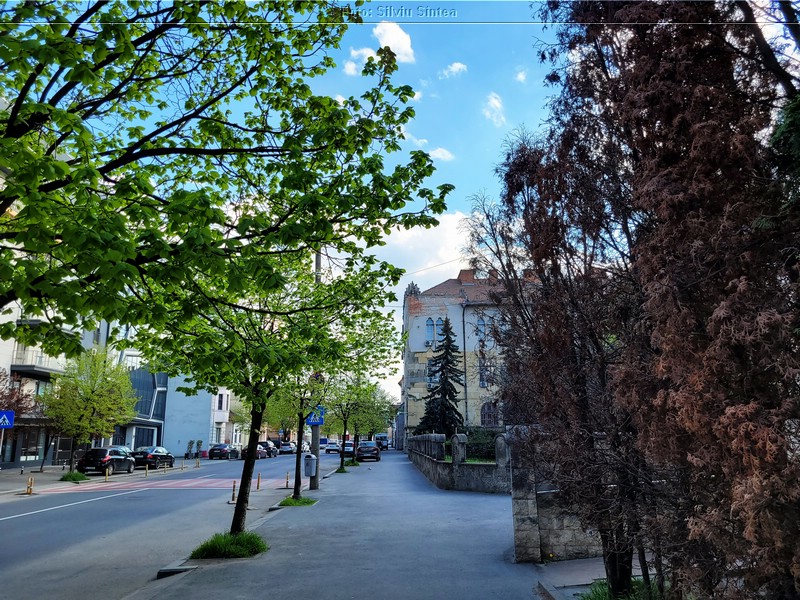 Cluj Napoca 22.04.2023 (42).jpg