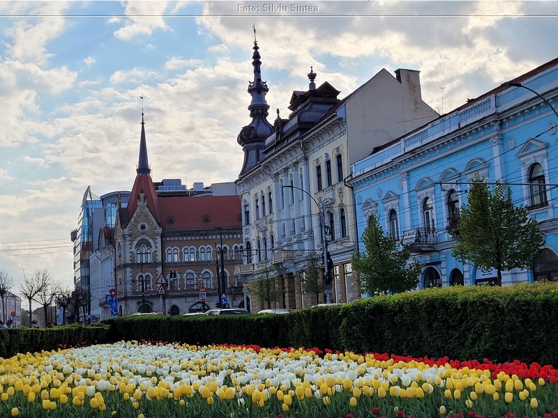 Cluj Napoca 22.04.2023 (77).jpg