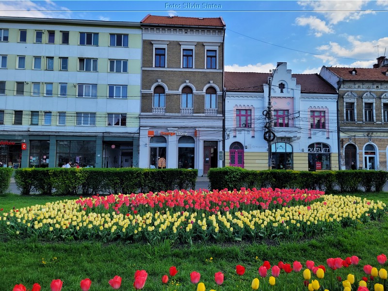 Cluj Napoca 22.04.2023 (79).jpg